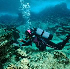 AKDENİZ-KÜRESEL 200 EKO-BÖLGE İÇERİSİNDE YER ALIYOR